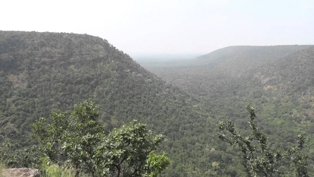 Nallamala Forest and Hills - Rich in Flora and Fauna - Mashahur