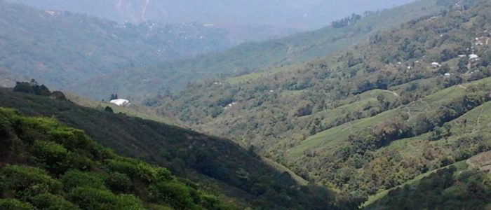 valley-silliguri-mashahur