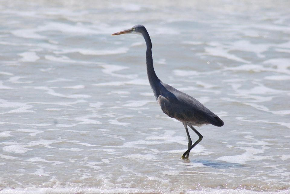 Trip to Benaulim Beach - Spend Some Memorable Days