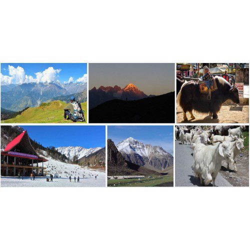 manali-tour-Mashahur
