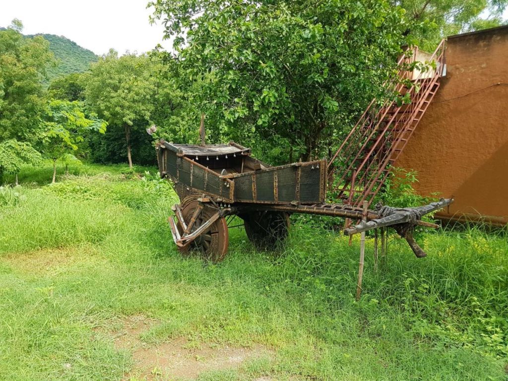 hotel-krishna-ranch-horsecart