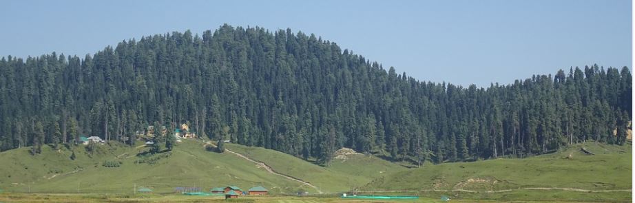 gulmarg5JPG