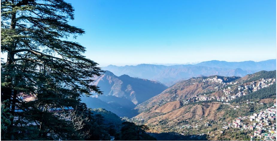 shimla11