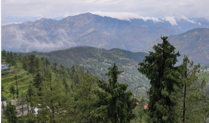 shimla8JPG