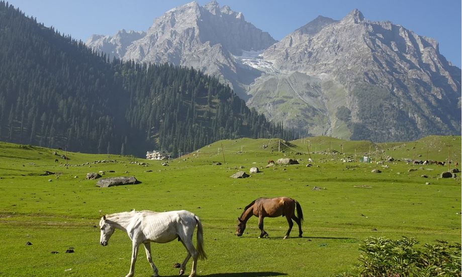 sonmarg